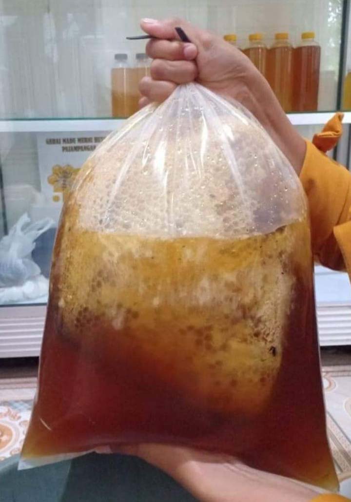 Madu Murni Asli